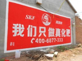 蓬溪刷墙广告”蕴含了时代命题