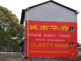 蓬溪百分之90的人都不了解的农村墙体广告