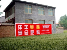 蓬溪如何让墙体广告展现最大化效果