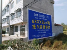 蓬溪墙体广告质量分析
