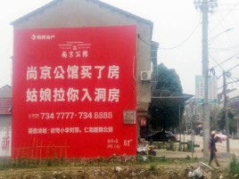蓬溪墙体广告在乡镇、农村市场的媒体优势