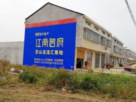 蓬溪农村墙体广告在不同形式上面展现的不同特色