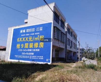 如何策划蓬溪墙体广告的投放？