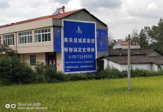 蓬溪决定墙体广告价格的因素有哪些？
