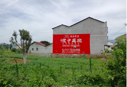 蓬溪做墙体广告的意义