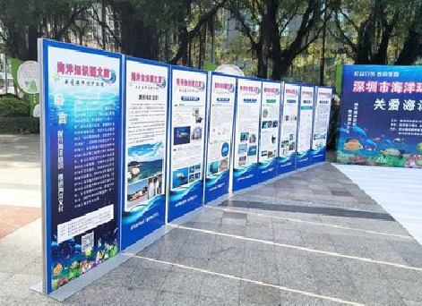 蓬溪KT板的种类和知识。